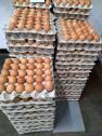 Buy your fresh poultry eggs direct from the farm