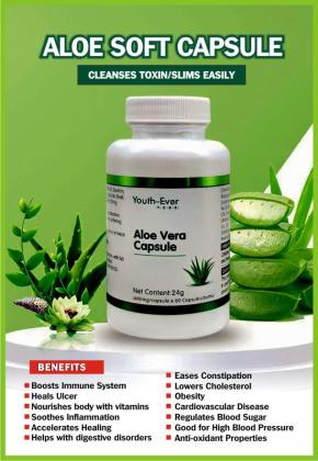 Discover The Secret To Timeless Beauty With Youth-ever Aloe Vera in Oyo, 