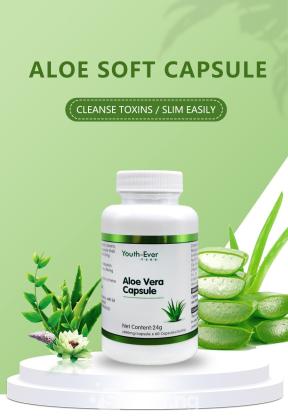 Discover The Secret To Timeless Beauty With Youth-ever Aloe Vera in Oyo, 