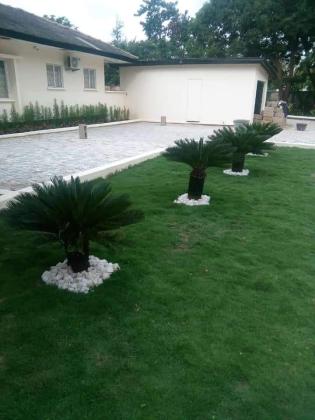 HorltiFlorist Landscaping And Gardening services in Abuja, 