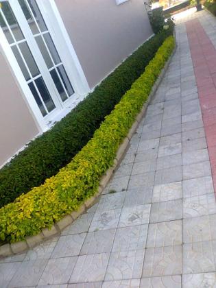 HorltiFlorist Landscaping And Gardening services in Abuja, 